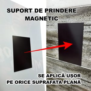 Tablou Sticla Acrilica Raphinha New 005